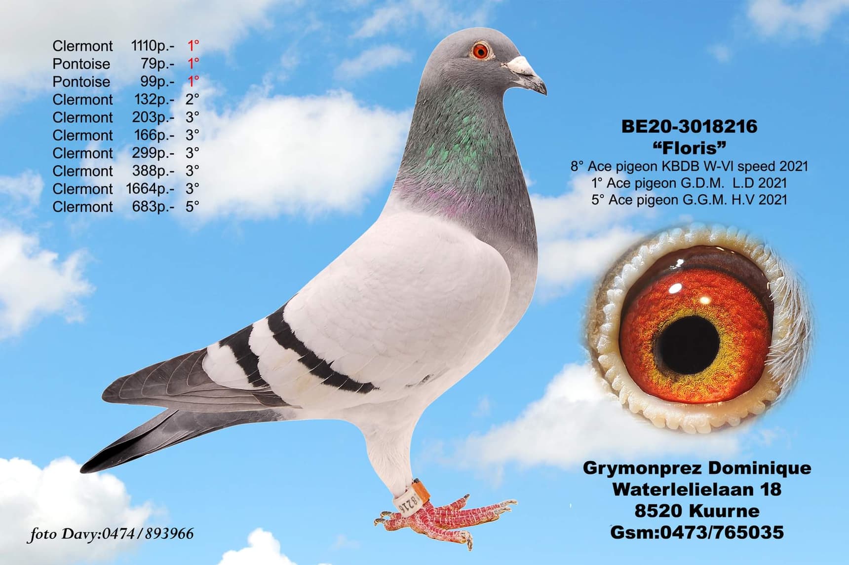 Dominique Grymonprez