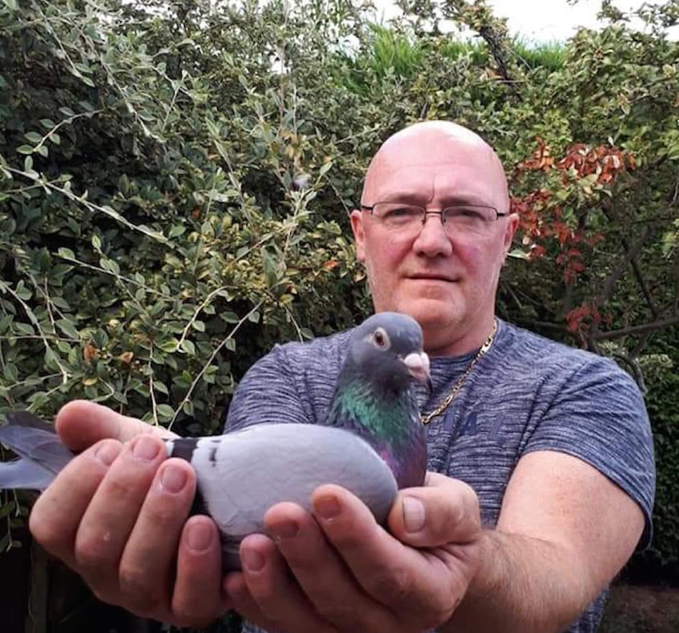 Public Auction : Verspreet Jean Pascal & Thomas